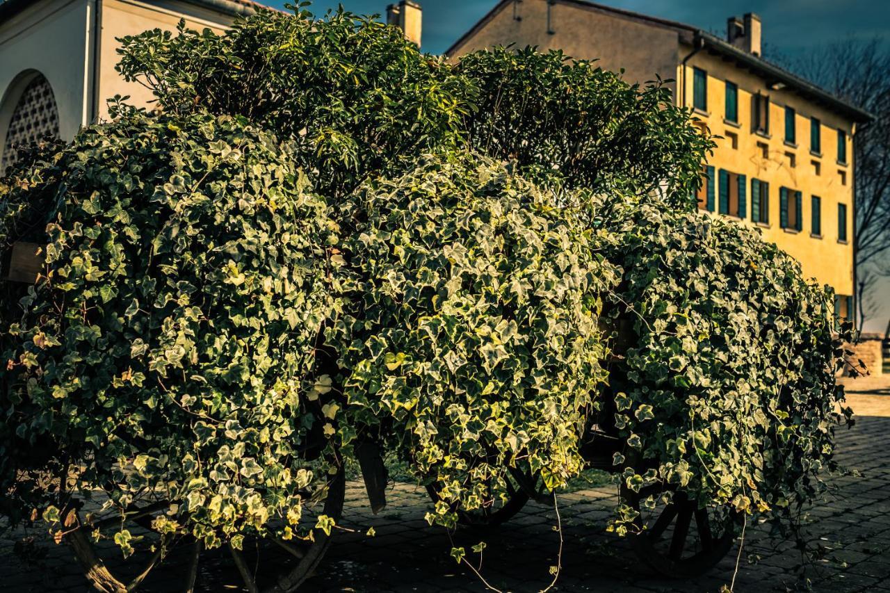 Le Vigne Morosina Villa Cessalto Dış mekan fotoğraf